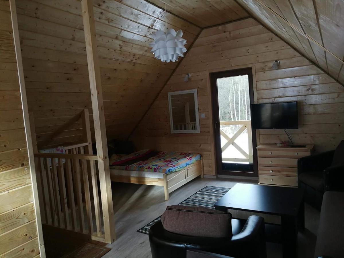 Лоджи Zielona Dolina Рабка-23